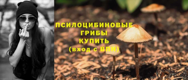 амфетамин Алексин