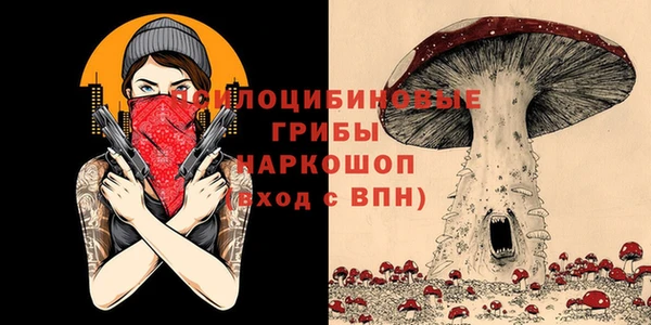 прущие крисы Арсеньев