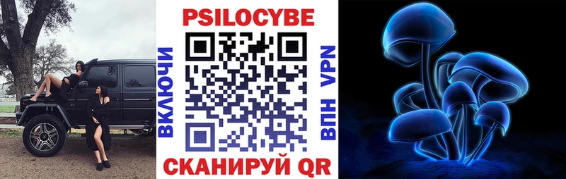 Псилоцибиновые грибы Cubensis  Георгиевск 