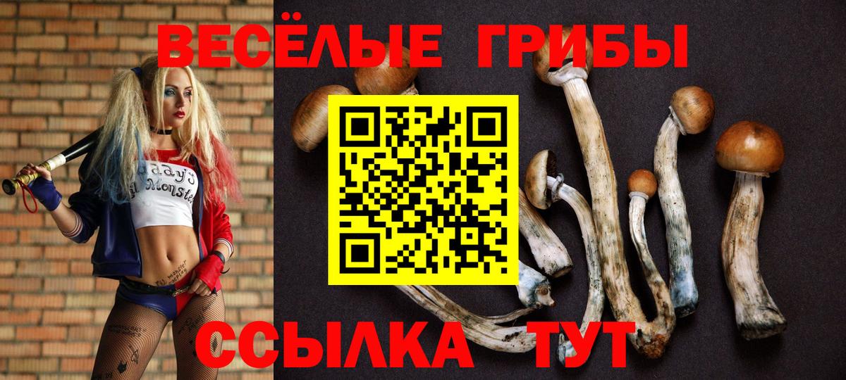 Георгиевск  Галлюциногенные грибы Magic Shrooms  Вход с VPN  Псилоцибиновые грибы GOLDEN TEACHER 